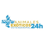 Animales Exóticos 24h