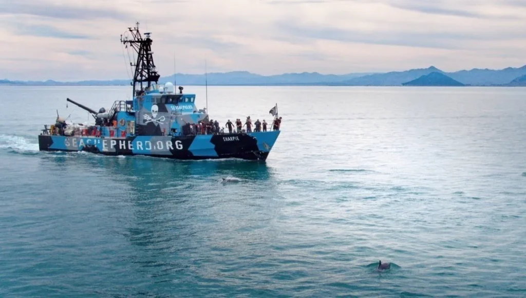 Vaquita marina: biología, estado y estrategias de conservación 8 Embarcación Sea Shepherd en aguas del Mar de Cortés. Fuente: National Geographic.