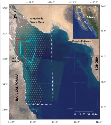Vaquita marina: biología, estado y estrategias de conservación 3 Mapa de la parte alta del Golfo de California, área de distribución de las vaquitas