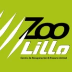 zoo-lillo